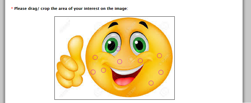 Survey Software Help Image